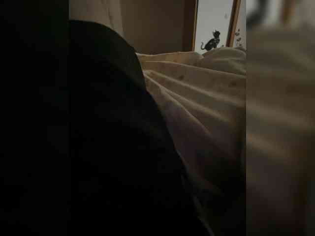 MilanASSSs webcam