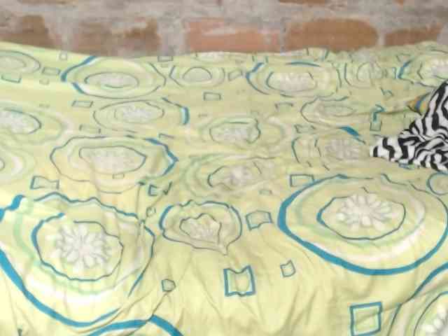 Elmiltonnjakeeso Elmiltonnjakeeso