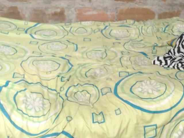 Elmiltonnjakeeso