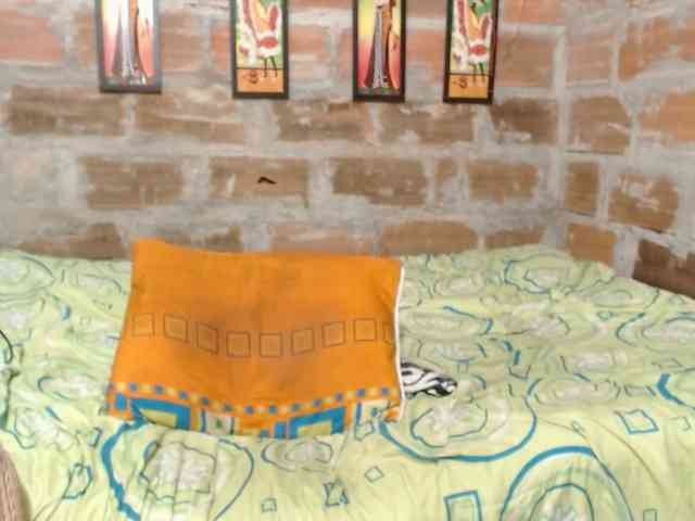 Elmiltonnjakeeso