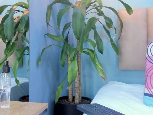 genesis44u's BongaCams show and profile