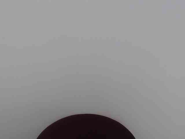 venus88 webcam