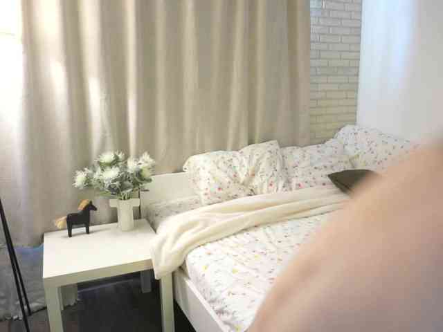 White-Rabb1