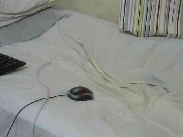 Verylshanny webcam