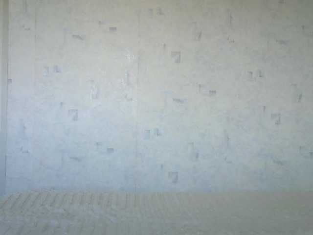 CuteAngelina — live female cam