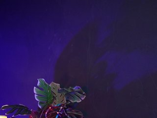 RubyRya Porn Show