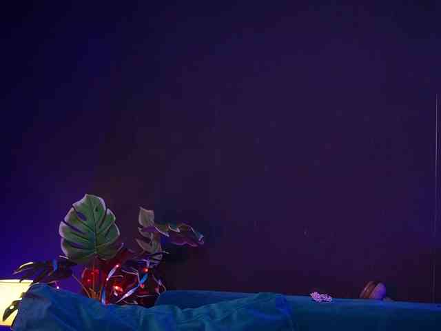 RubyRya webcam