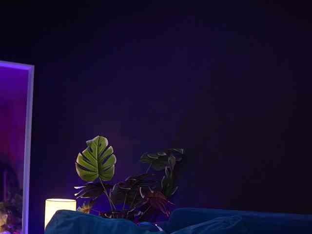 RubyRya webcam