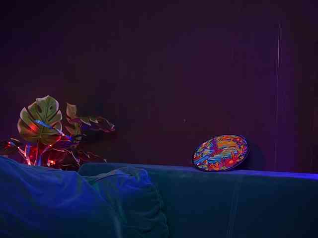 RubyRya webcam