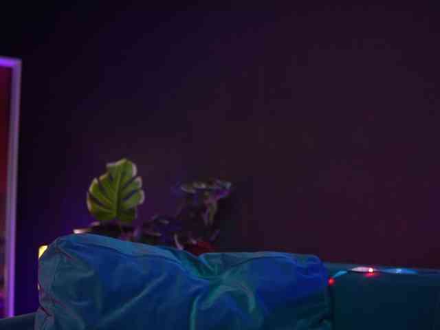 RubyRya webcam