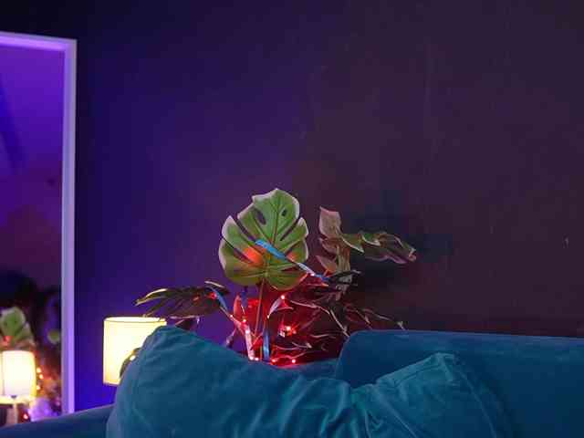 RubyRya webcam