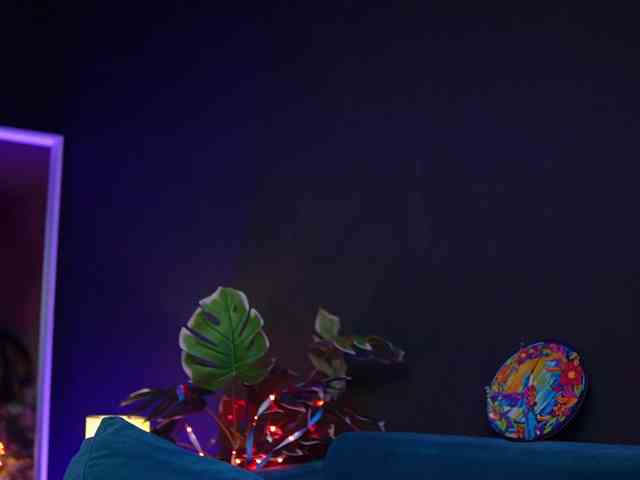 RubyRya webcam