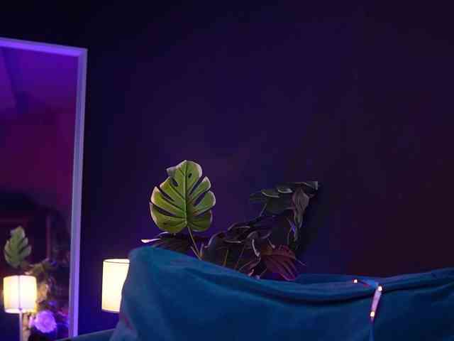 RubyRya webcam