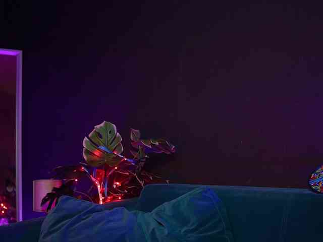 RubyRya webcam