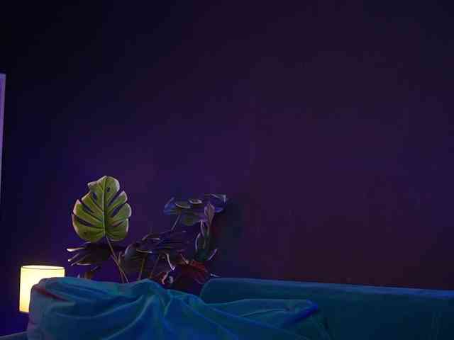 RubyRya webcam
