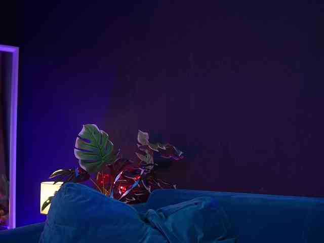 RubyRya webcam