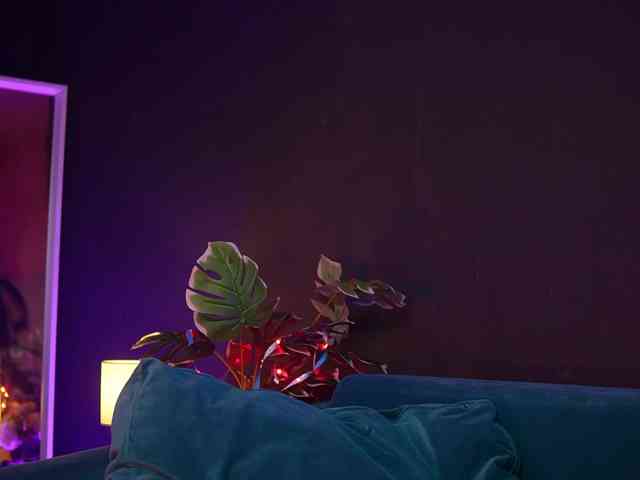 RubyRya webcam