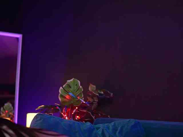 RubyRya webcam
