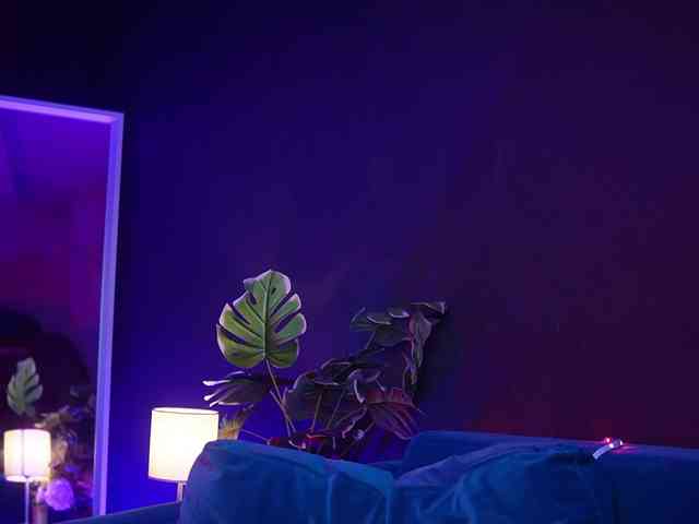RubyRya Live Webcam on BongaCams