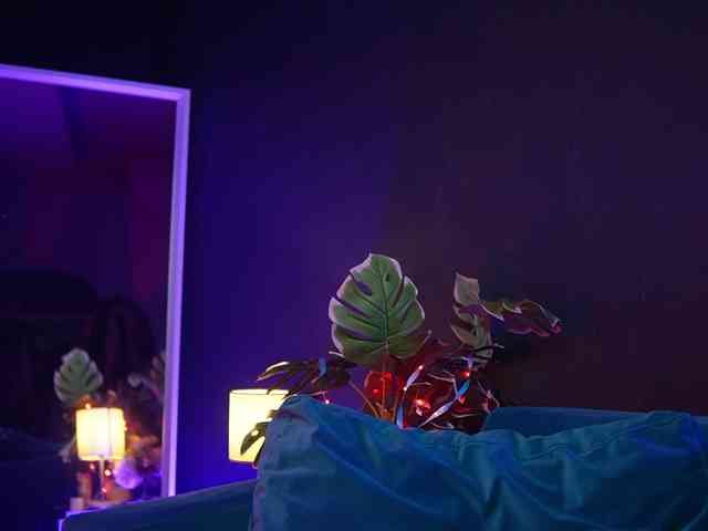 RubyRya webcam