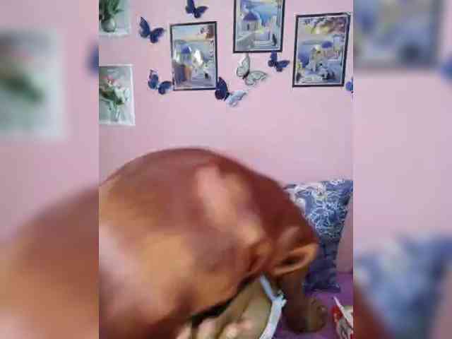 Valentina22 webcam