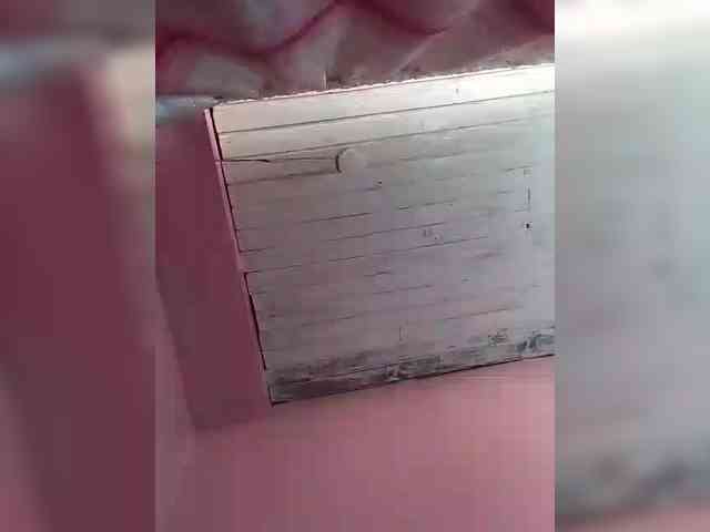 Vaninah webcam