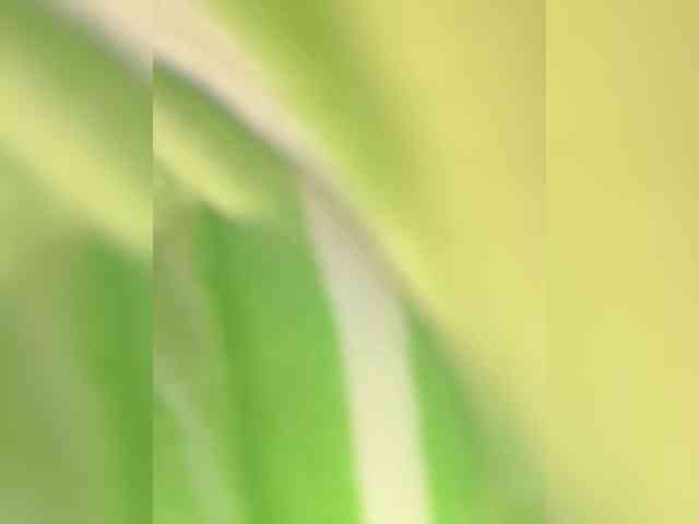 MelissaBrayn20 webcam