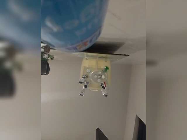 MedusaFoxx