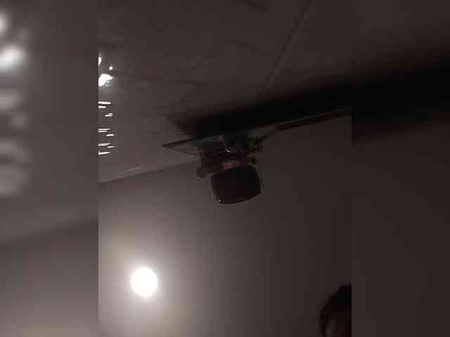 MedusaFoxx webcam