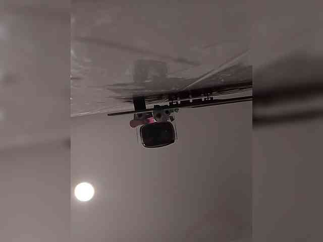 MedusaFoxx webcam