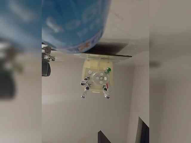 MedusaFoxx webcam