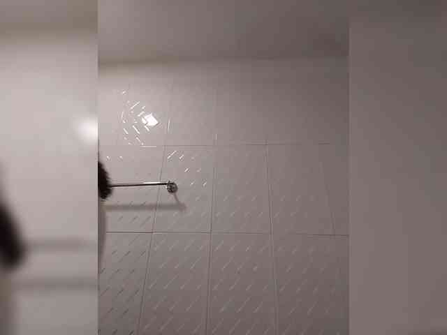 MedusaFoxx