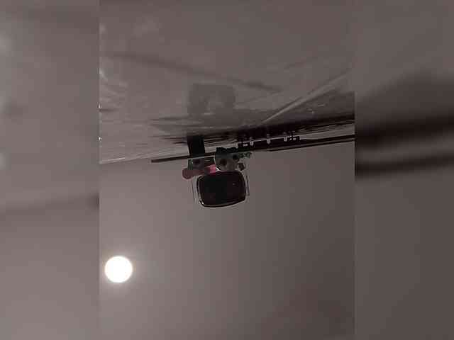 MedusaFoxx webcam