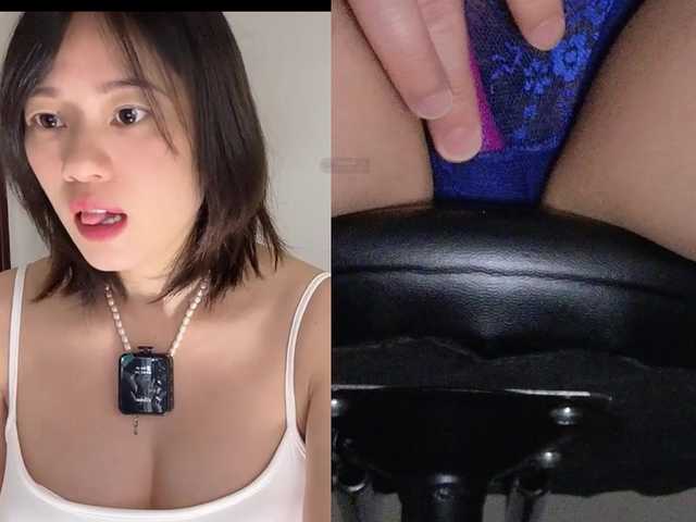 xinbao live cam on BongaCams