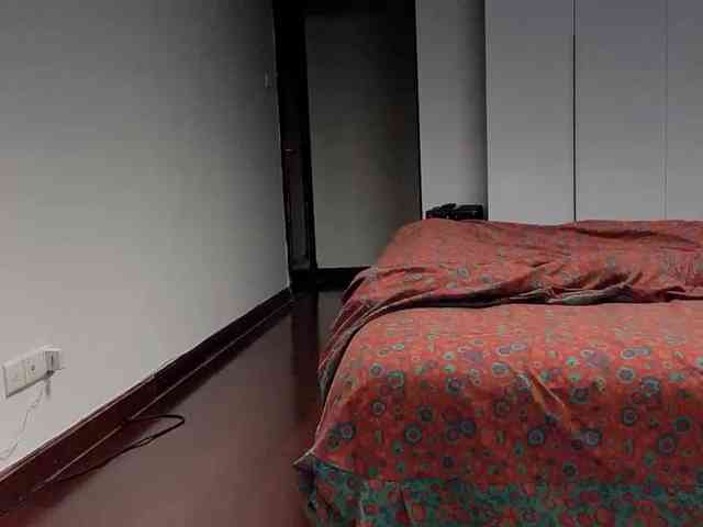 xinbao webcam