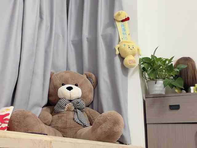 xinbao webcam