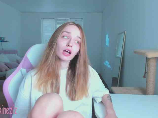 Polikinesis webcam