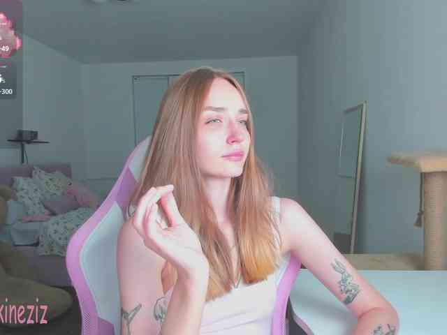Polikinesis webcam