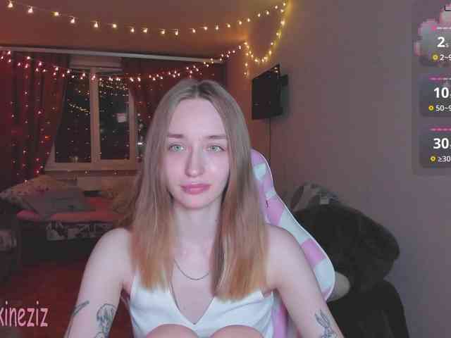 Polikinesis webcam