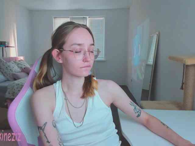 Polikinesis webcam