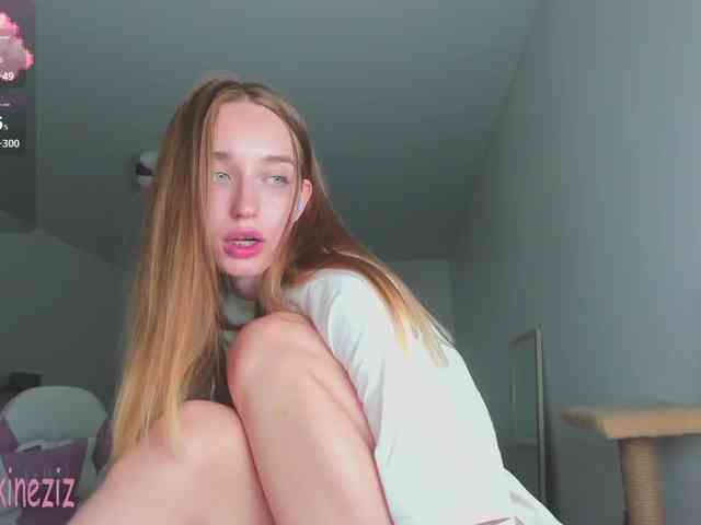Polikinesis webcam