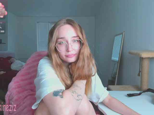 Polikinesis webcam