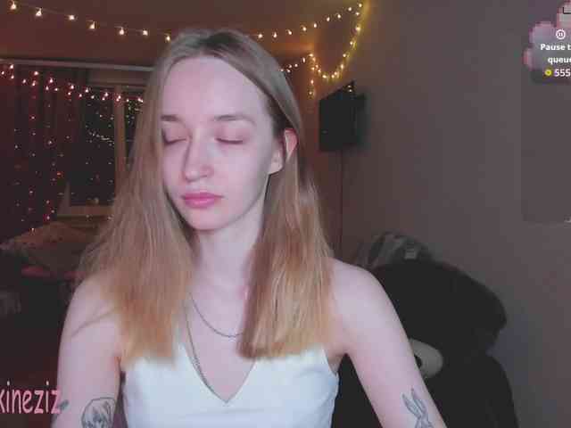 Polikinesis webcam