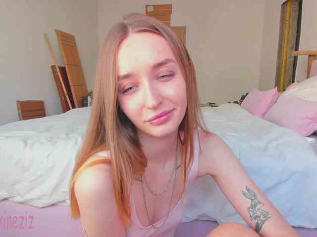 Polikinesis webcam