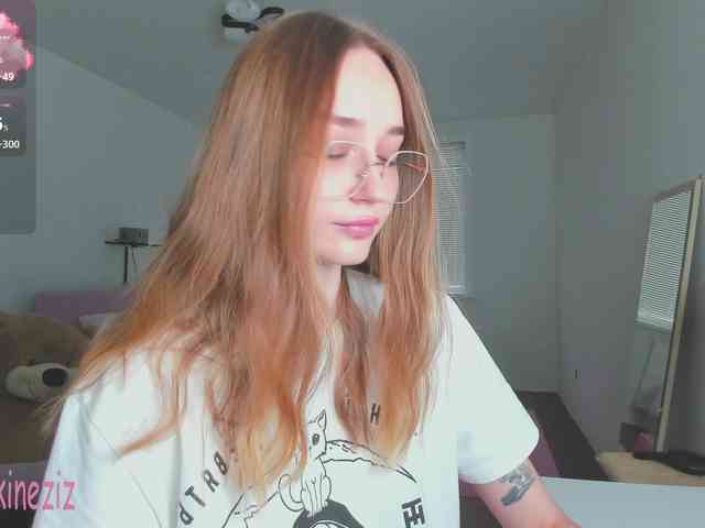 Polikinesis webcam