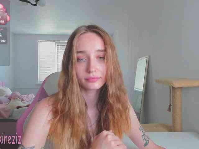 Polikinesis webcam