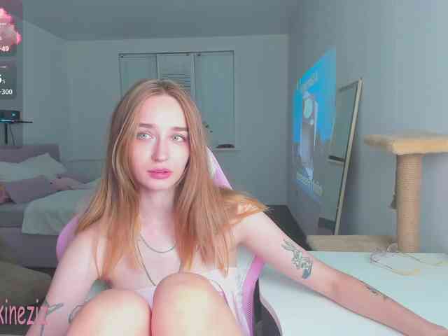 Polikinesis webcam