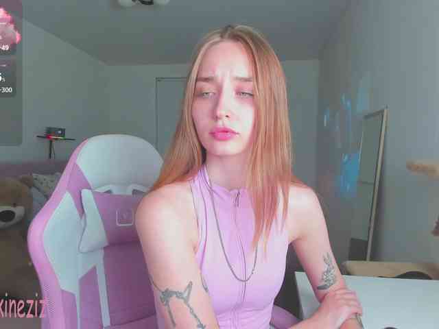 Polikinesis webcam