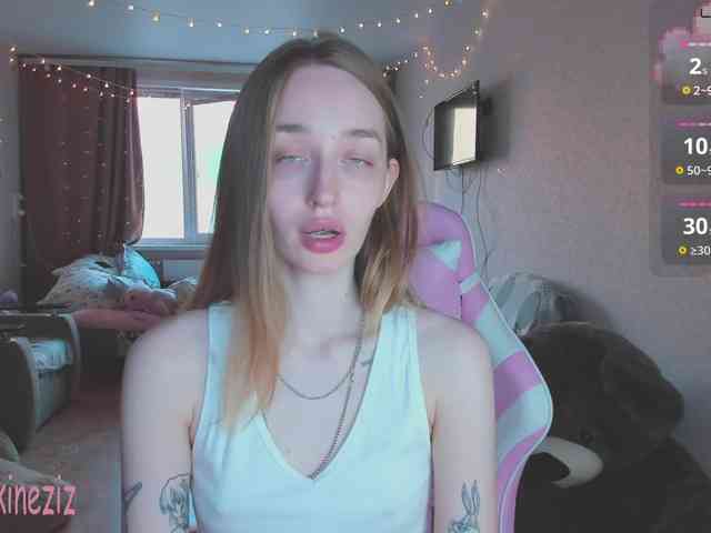 Polikinesis webcam