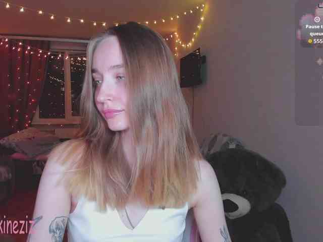 Polikinesis webcam
